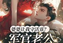 婆婆让我守活寡？军官老公回来了小说免费资源，婆婆让我守活寡？军官老公回来了在线阅读-优文网