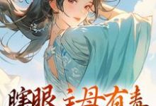 小说《瞎眼主母有毒，不做也罢》章节免费阅读-优文网