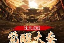 在线寻找诛杀反贼，觉醒大秦千年气运小说的无删减版本-优文网