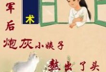 寻找能够免费阅读姐随军后，炮灰小姨子熬出了头小说的平台-优文网