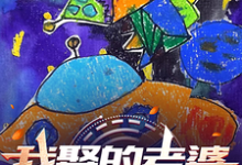 韩状克莱尔小说《我娶的老婆在过去》完整版免费阅读-优文网