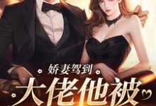娇妻驾到，大佬他被仨娃整顿任容峥战北钦小说免费阅读-优文网