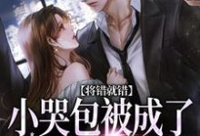 将错就错：小哭包被成了大佬心尖宠小说有没有完结版在线？-优文网