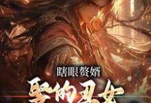 在线免费阅读瞎眼赘婿，娶的丑女竟是当朝女帝完整小说-优文网