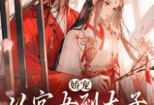 娇宠：从宫女到太子宠婢的晋升路免费阅读，娇宠：从宫女到太子宠婢的晋升路章节在线阅读-优文网