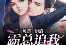 在线寻找被摆一道后，霸总追我火葬场小说的无删减版本-优文网