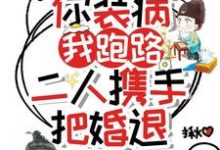《你装病，我跑路，二人携手把婚退》小说方詹宁楼允宸章节章节免费在线阅读-优文网