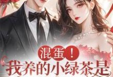 完结版《混蛋！我养的小绿茶是京圈太子爷》章节阅读-优文网