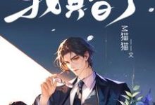 洛寻晏初臣小说完结版在线阅读，被迫和鬼王成亲后，我真香了免费看-优文网