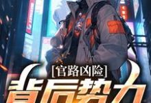 颜卿陆清雅小说官路凶险，背后势力怎么除章节免费阅读-优文网