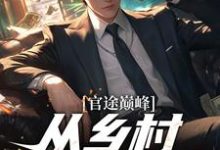 小说完整版《官途巅峰，从乡村书记崛起！》免费阅读-优文网