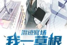 《混迹官场：我一草根平步青云》小说免费阅读完整版-优文网