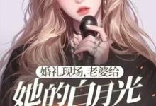 小说《婚礼现场，老婆给她的白月光唱情歌》在线章节阅读-优文网