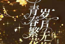 《青春繁花，岁月无悔》完整版小说免费阅读-优文网