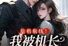 鹿灵岑屹楼完整版《危机航线！我被机长夺心了》小说免费阅读-优文网