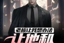 完整版小说《老板让我想办法，让他和老婆离婚》免费阅读-优文网