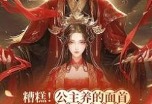 在线寻找糟糕！公主养的面首竟是九千岁小说的无删减版本-优文网