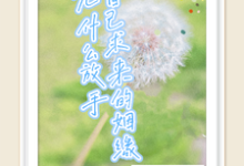 季雪儿郁北川小说免费阅读完整版-优文网