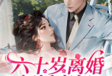 《六十岁离婚闪婚豪门！父子火葬场》小说章节列表免费试读，林娟郝向东小说在线阅读-优文网