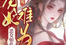 宠妃难为，恶女如此多娇苏珧小说大结局免费试读-优文网