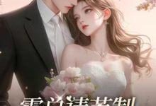 小说《上司撩情，这办公室恋情我谈定了》章节免费阅读-优文网
