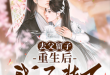 去父留子，重生后我不装了这本小说怎么样？免费在线阅读试试-优文网