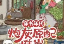 穿书年代，炮灰原配携崽随军去啦安婳肖政，穿书年代，炮灰原配携崽随军去啦章节在线阅读-优文网