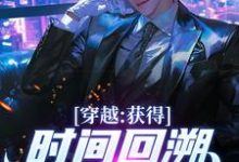 免费在线阅读穿越：获得时间回溯，我杀进长安！小说的正规网站有哪些？-优文网