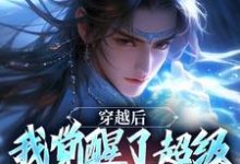穿越后，我觉醒了超级锦衣卫系统小说最新章节在哪里可以读到？-优文网