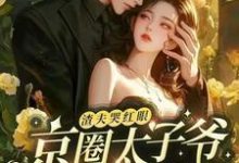 渣夫哭红眼，京圈太子爷宠她入骨这本小说怎么样？免费在线阅读试试-优文网