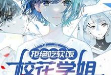 已完结小说《拒绝吃软饭，校花学姐气哭了》章节免费阅读-优文网