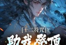 完结版《十二符咒助我登顶仙界巅峰》章节阅读-优文网