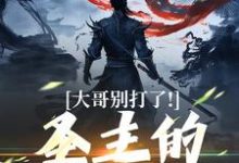 大哥别打了！圣主的心都碎了小说有没有完整的免费版本在线阅读？-优文网