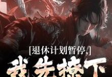 小说《退休计划暂停，我先撩下这女总》在线章节阅读-优文网