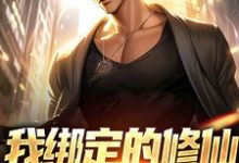 《我绑定的修仙系统有点癫》小说免费阅读完整版-优文网