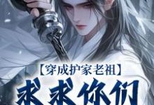 穿成护家老祖，求求你们积点德吧（秦禾柳青元）完整版在线免费阅读-优文网