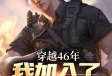 罗林完整版小说《穿越46年，我加入了人民的队伍》免费阅读-优文网