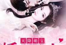 天降萌宝：娇妻归来唐依白洛骞泽，天降萌宝：娇妻归来在线无弹窗阅读-优文网