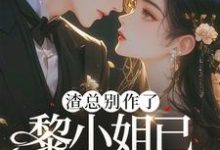 求渣总别作了，黎小姐已另嫁豪门小说的全文免费阅读链接-优文网