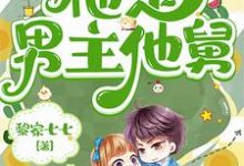 七零军婚：搞错啦，他是男主他舅完整版小说，七零军婚：搞错啦，他是男主他舅宋青苗韩遇-优文网