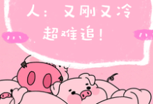 程队要追的男人：又刚又冷超难追免费阅读，程队要追的男人：又刚又冷超难追章节目录-优文网