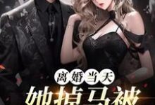 小说完整版《离婚当天，她掉马被顶级娘家接回》免费阅读-优文网