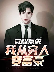 已完结小说《觉醒系统：我从穷人变富豪》章节免费阅读