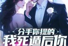 完结版《分手你提的，我死遁后你哭什么？》章节目录在线阅读-优文网