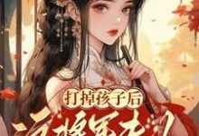 打掉孩子后这将军夫人谁爱当谁当小说有没有完结版在线？-优文网