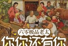 六零极品老太：你你还有你跪下！小说完结版章节免费阅读-优文网