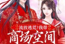 《流放逃荒？我带商场空间活的舒服嘞》小说林书棠段砚洲章节章节免费在线阅读-优文网