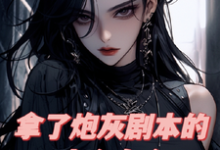 拿了炮灰剧本的爽文女主小说，拿了炮灰剧本的爽文女主在线阅读-优文网