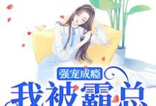 哪里能找到强宠成瘾，我被霸总圈进怀小说的最新更新和免费章节？-优文网