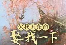 欠我五条命，娶我一下怎么了？小说免费资源，欠我五条命，娶我一下怎么了？在线阅读-优文网